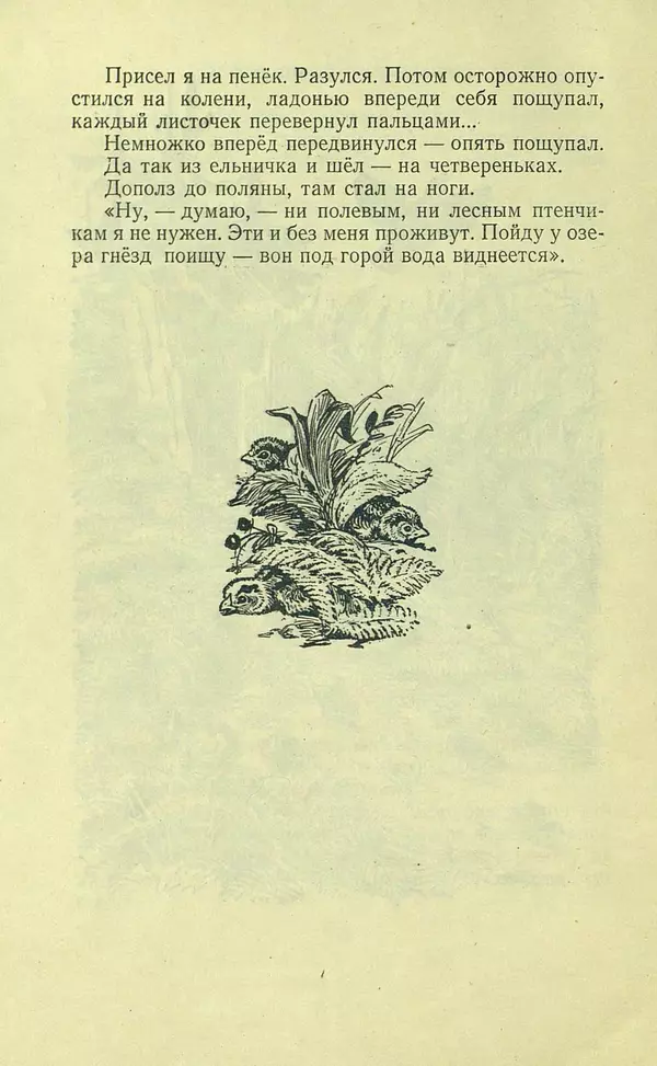 Николай Сладков - Про птиц. Сборник рассказов - Страница № 14