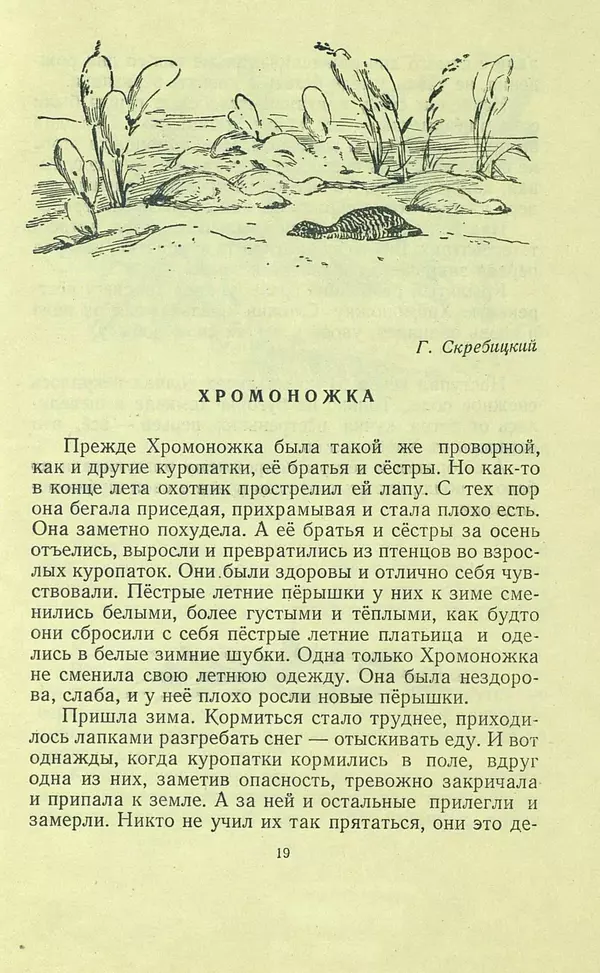Николай Сладков - Про птиц. Сборник рассказов - Страница № 19