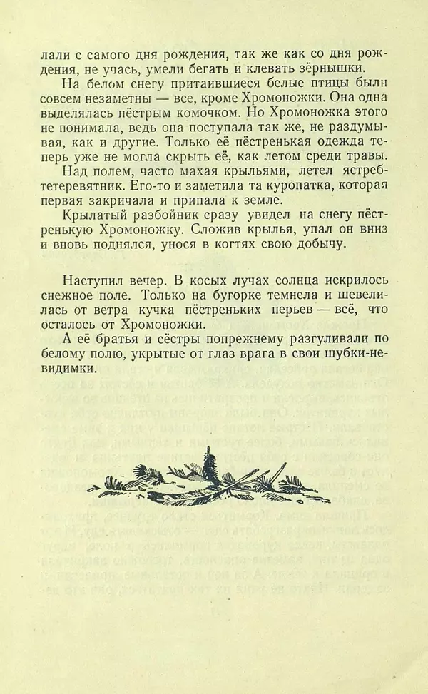 Николай Сладков - Про птиц. Сборник рассказов - Страница № 20
