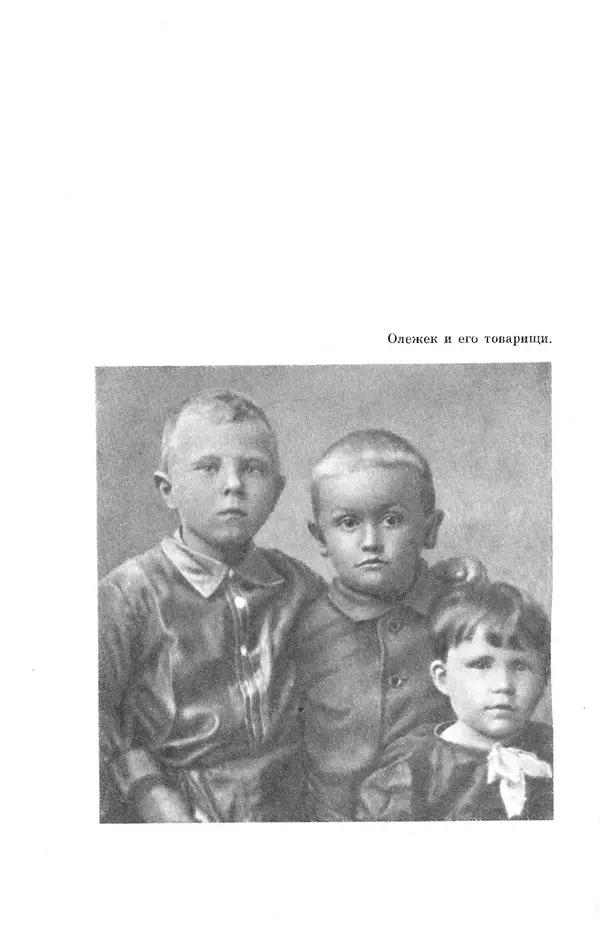 Елена Кошевая - Библиотека пионера. Том 2 - Страница № 266