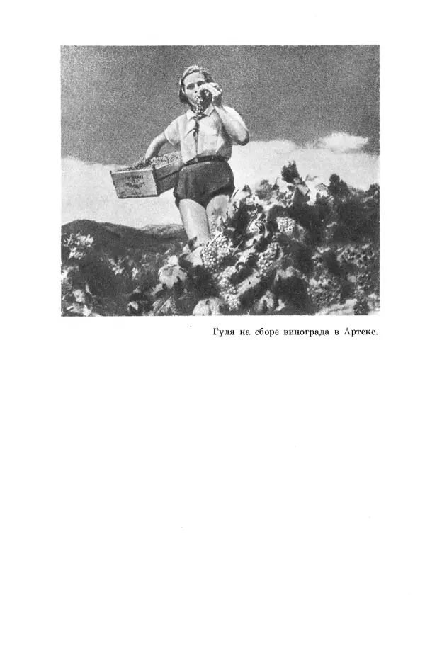 Елена Кошевая - Библиотека пионера. Том 2 - Страница № 508