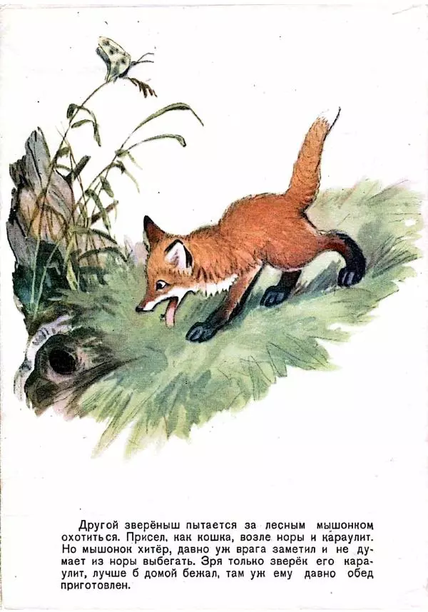 Георгий Скребицкий - Беспокойные малыши - Страница № 7