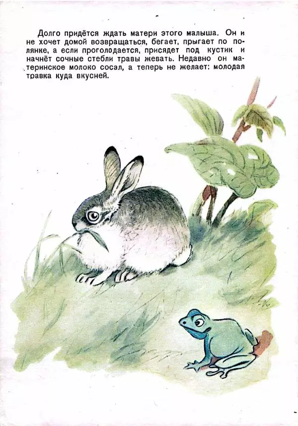 Георгий Скребицкий - Беспокойные малыши - Страница № 8