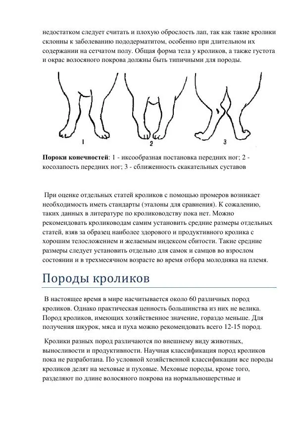 Евгений Вагин - Кролиководство в личных хозяйствах - Страница № 19