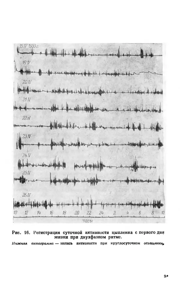 Михаил Лобашев - Физиология суточного ритма животных - Страница № 132