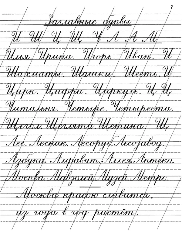 Александра Воскресенская - Прописи для учащихся 3-го класса начальной школы - Страница № 8
