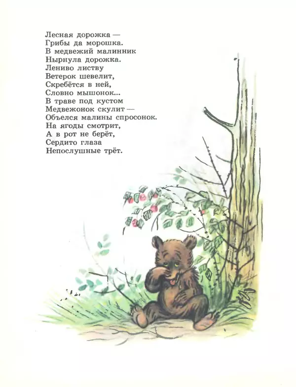 Тимофей Белозеров - Лесной плакунчик - Страница № 10