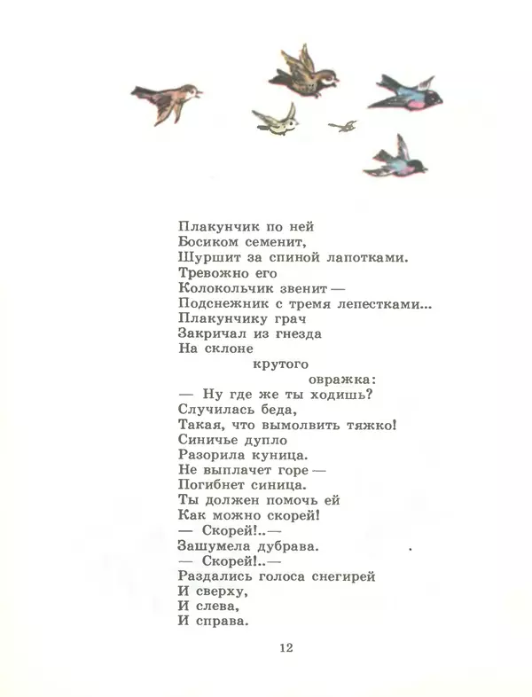 Тимофей Белозеров - Лесной плакунчик - Страница № 13