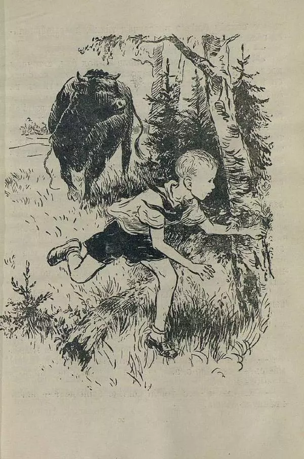 Юрий Сотник - Рассказы - Страница № 35