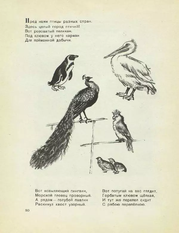 Самуил Маршак - Весёлое путешествие от А до Я - Страница № 52