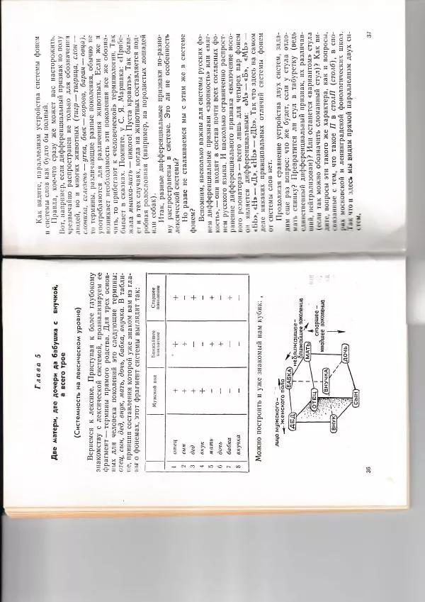 Леонид Сахарный - Как устроен наш язык - Страница № 20