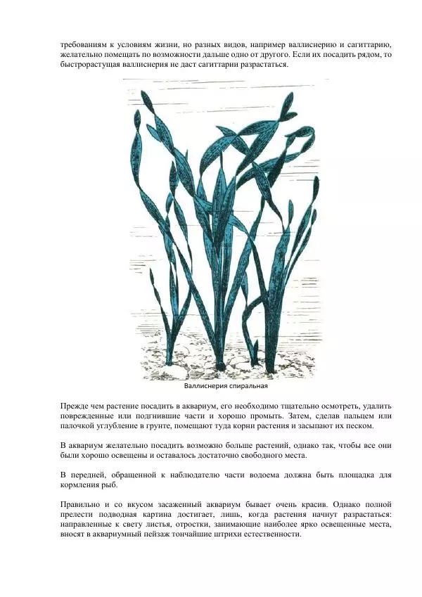 Федор Полканов - Подводный мир в комнате - Страница № 23