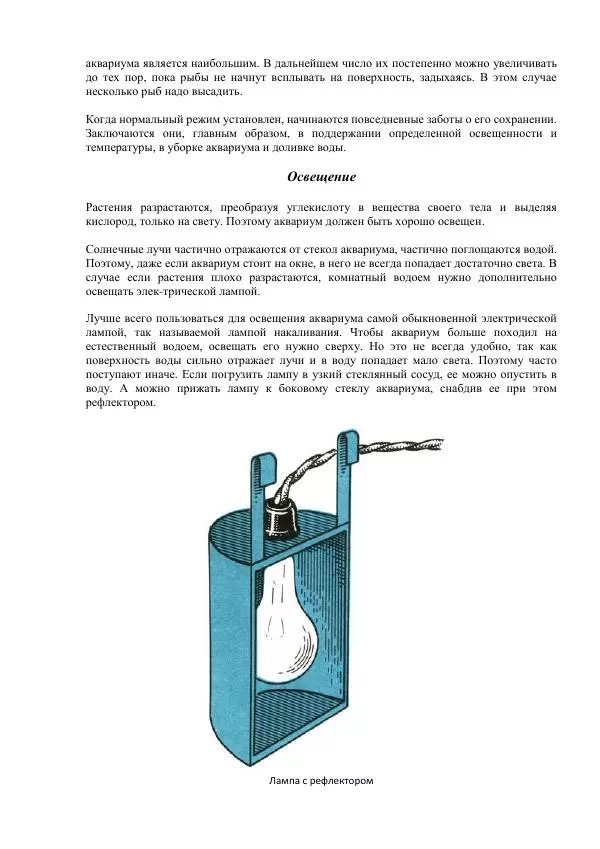 Федор Полканов - Подводный мир в комнате - Страница № 41