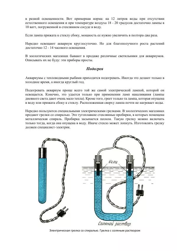 Федор Полканов - Подводный мир в комнате - Страница № 43