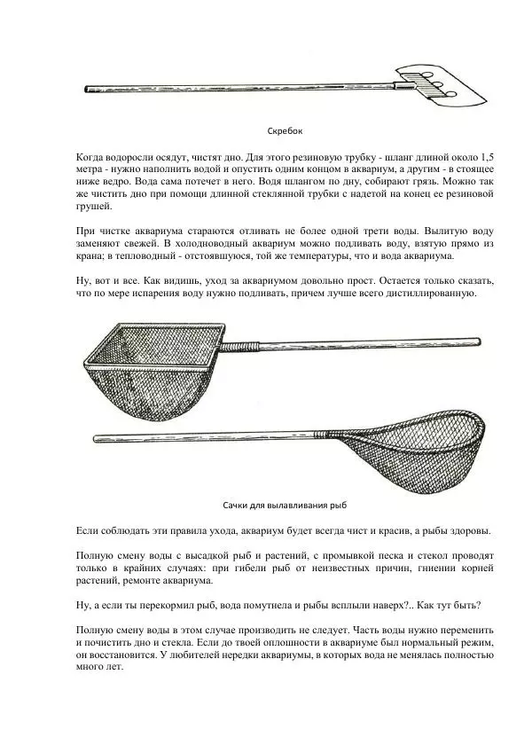 Федор Полканов - Подводный мир в комнате - Страница № 49