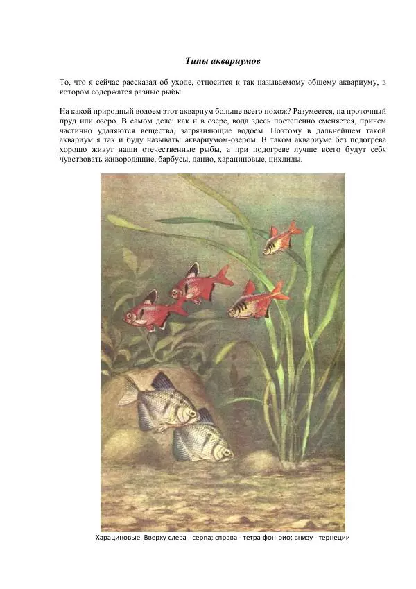 Федор Полканов - Подводный мир в комнате - Страница № 50