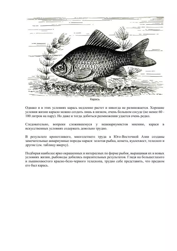 Федор Полканов - Подводный мир в комнате - Страница № 89