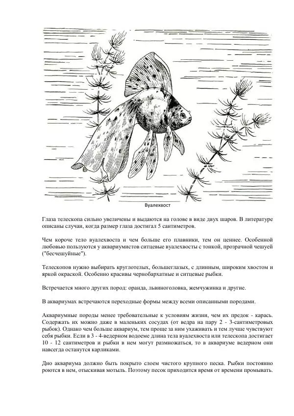 Федор Полканов - Подводный мир в комнате - Страница № 91