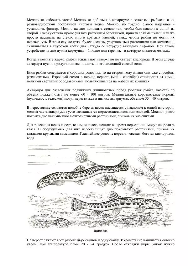 Федор Полканов - Подводный мир в комнате - Страница № 92