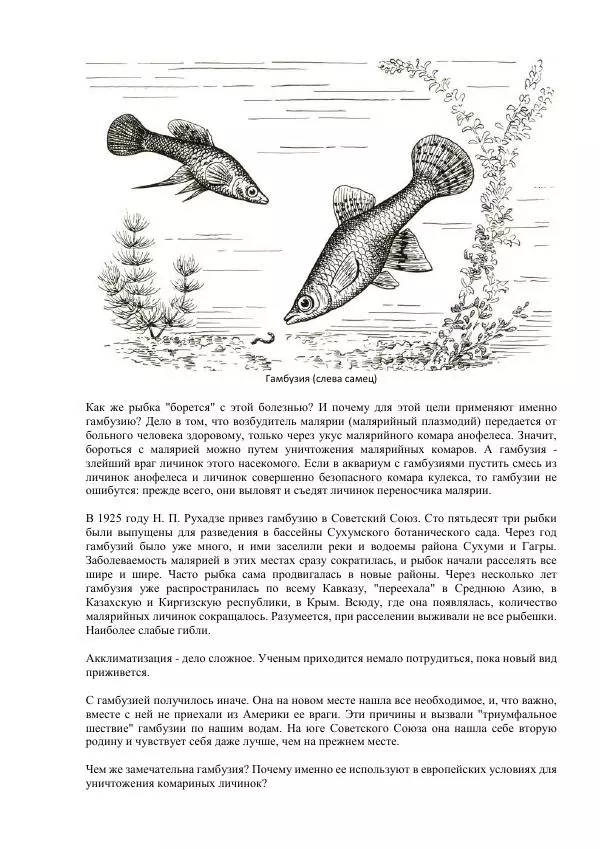 Федор Полканов - Подводный мир в комнате - Страница № 102