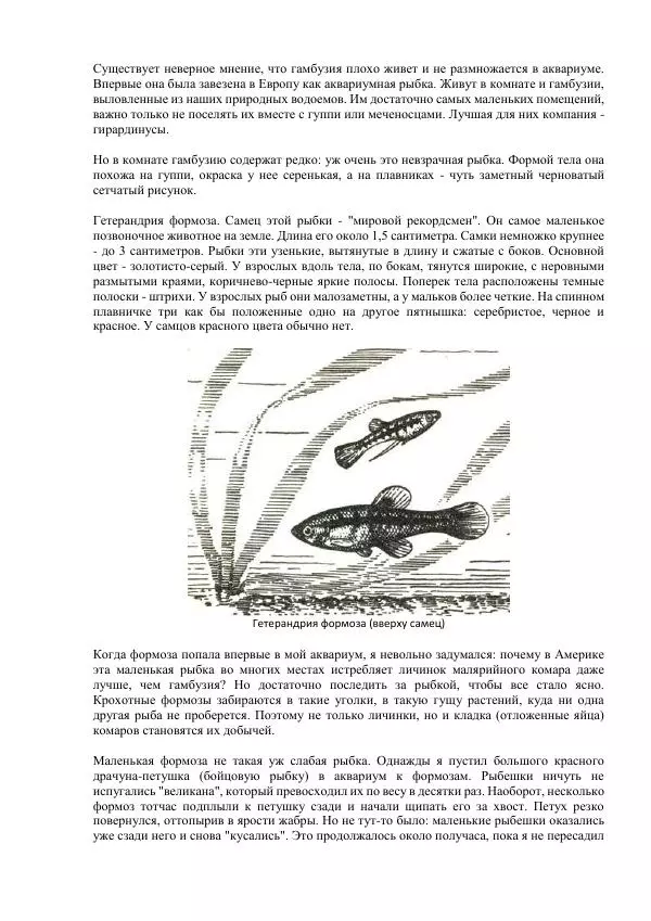 Федор Полканов - Подводный мир в комнате - Страница № 104