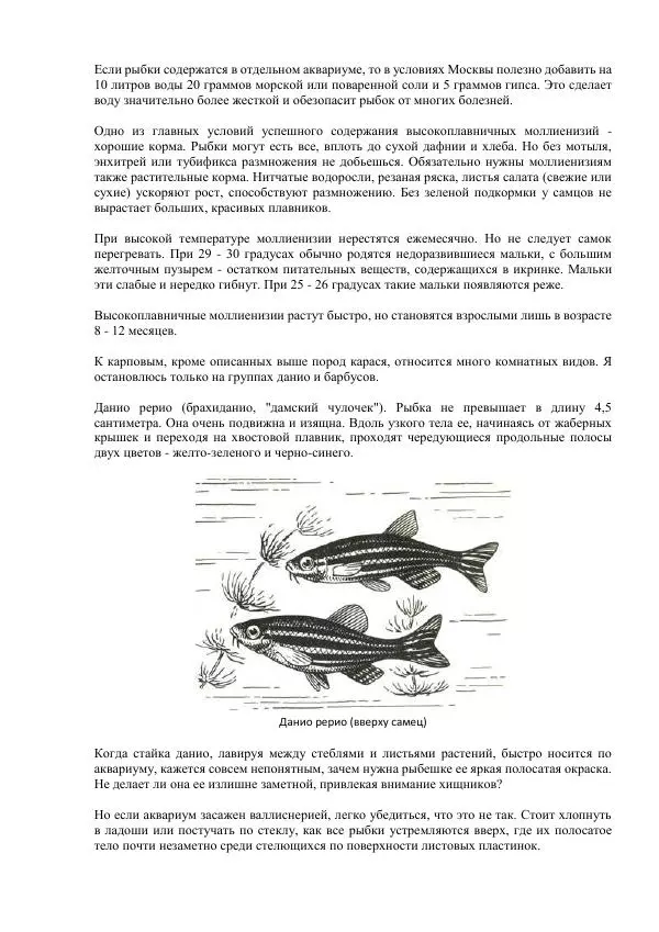 Федор Полканов - Подводный мир в комнате - Страница № 107