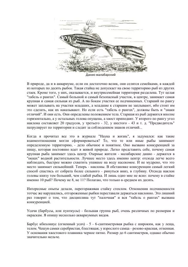 Федор Полканов - Подводный мир в комнате - Страница № 111