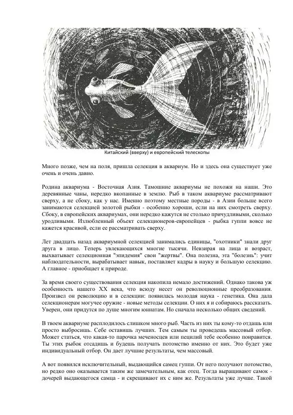 Федор Полканов - Подводный мир в комнате - Страница № 143