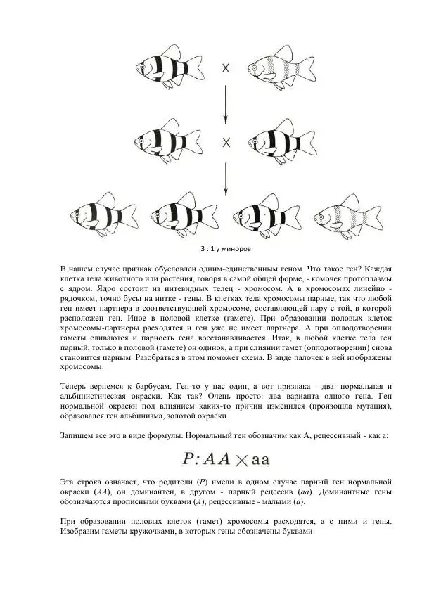 Федор Полканов - Подводный мир в комнате - Страница № 147