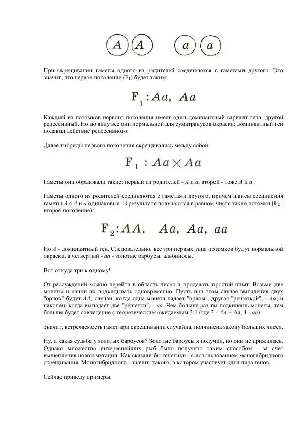 Федор Полканов - Подводный мир в комнате - Страница № 148
