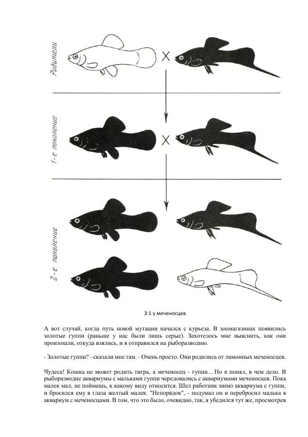 Федор Полканов - Подводный мир в комнате - Страница № 150