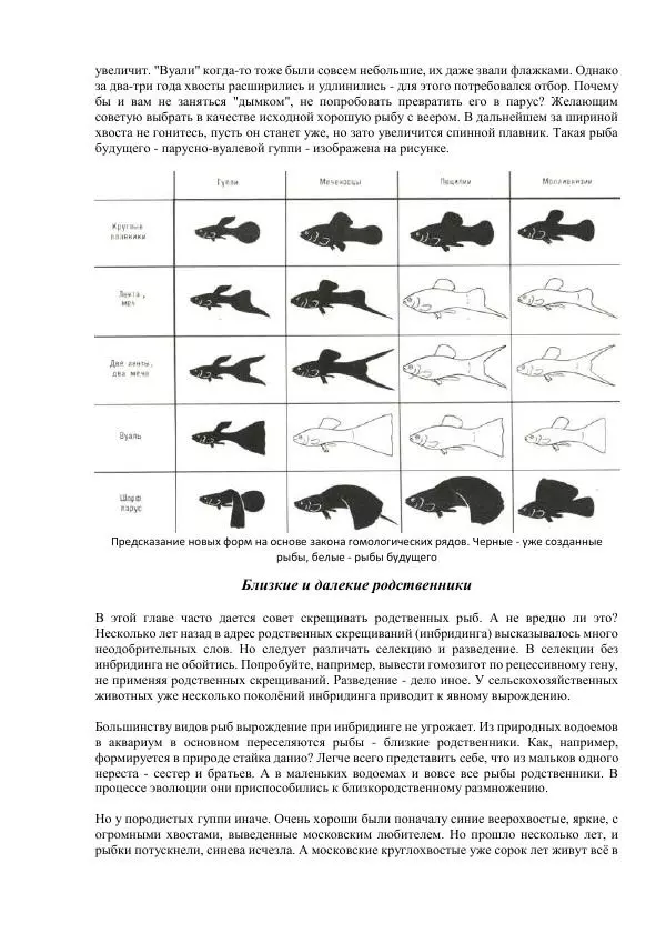 Федор Полканов - Подводный мир в комнате - Страница № 168