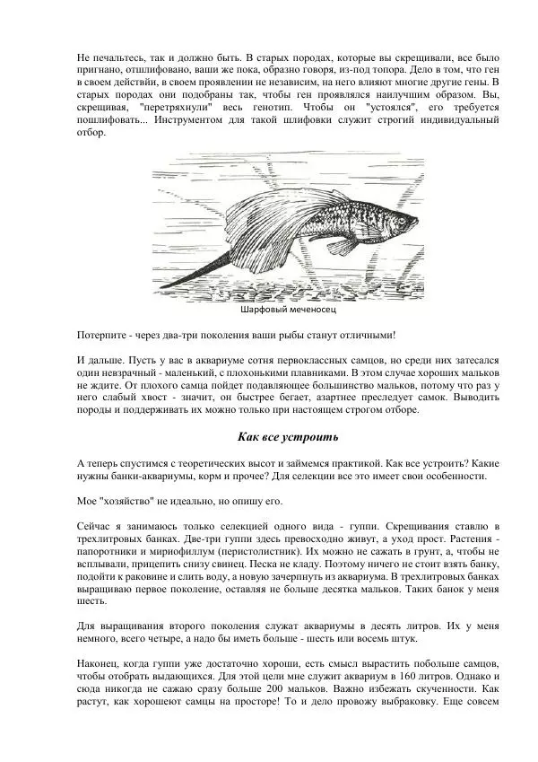 Федор Полканов - Подводный мир в комнате - Страница № 178