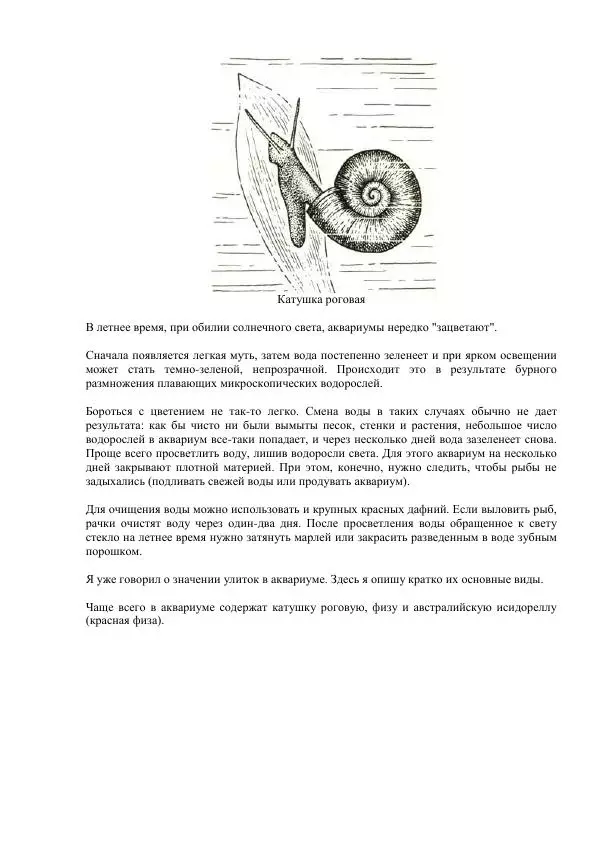 Федор Полканов - Подводный мир в комнате - Страница № 184