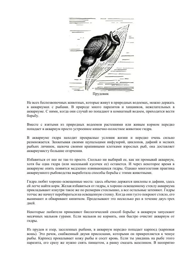 Федор Полканов - Подводный мир в комнате - Страница № 187