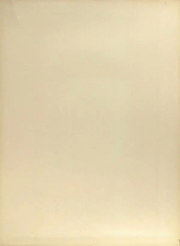  Автор неизвестен - Художественный альбом Манджурия (русско-японская война) - Страница № 20