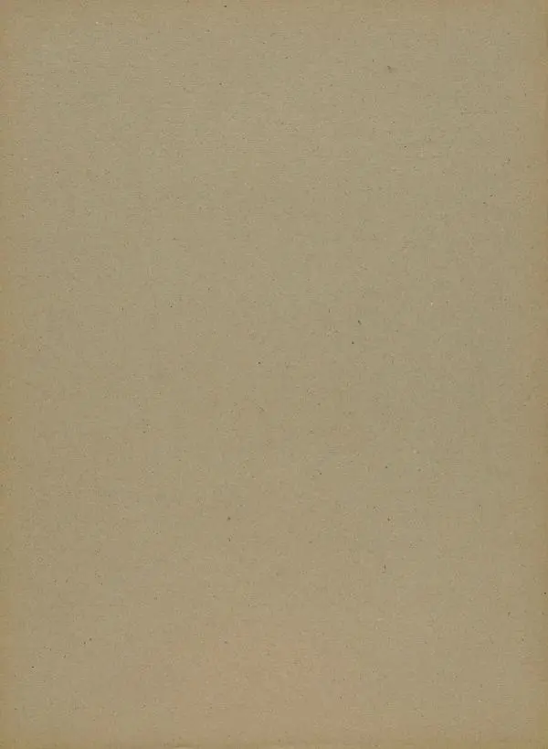  Автор неизвестен - Художественный альбом Манджурия (русско-японская война) - Страница № 198