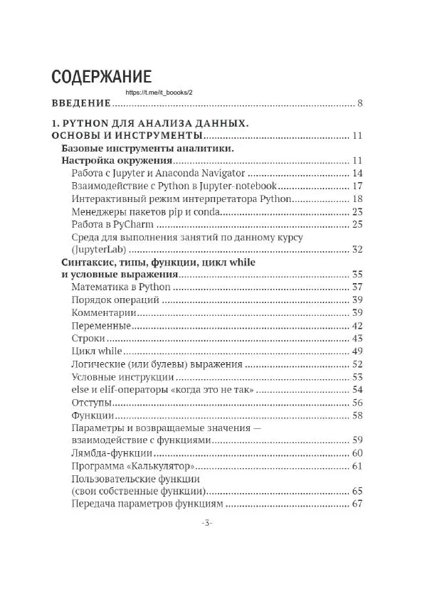 П. Меликов - Изучаем основы Python. Практический курс для дата-аналитиков - Страница № 4
