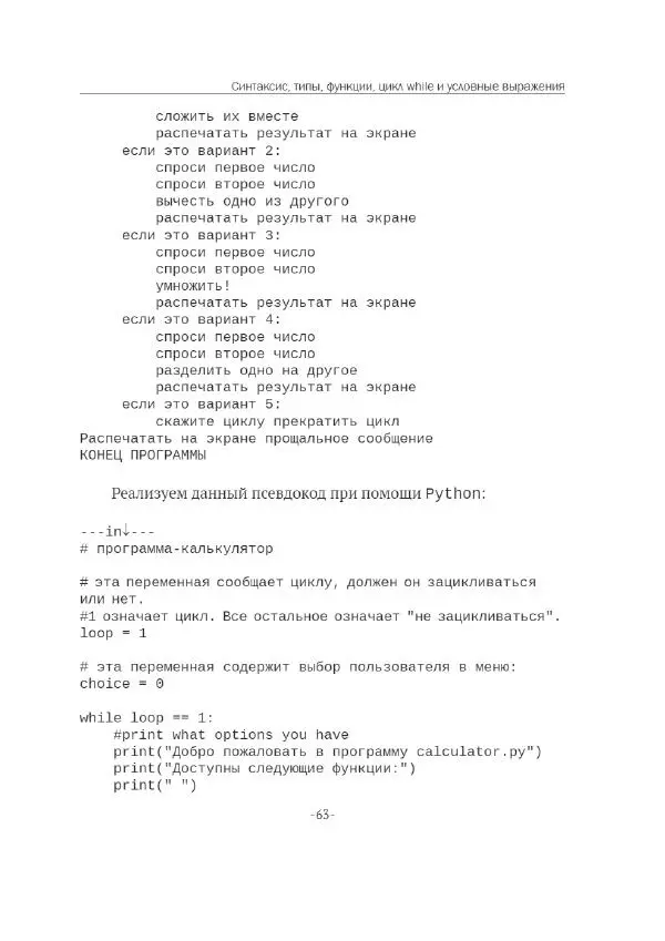 П. Меликов - Изучаем основы Python. Практический курс для дата-аналитиков - Страница № 64