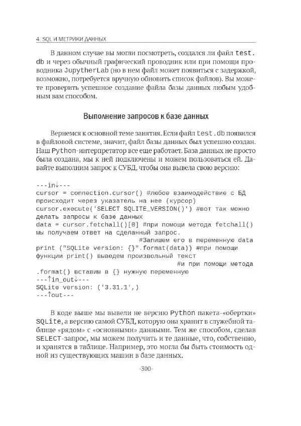 П. Меликов - Изучаем основы Python. Практический курс для дата-аналитиков - Страница № 301