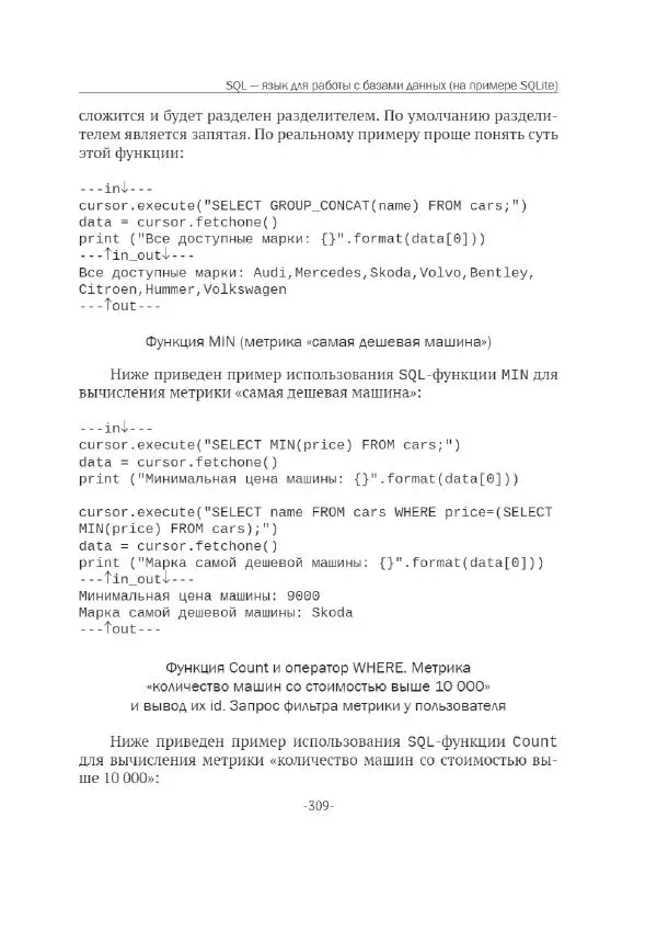 П. Меликов - Изучаем основы Python. Практический курс для дата-аналитиков - Страница № 310