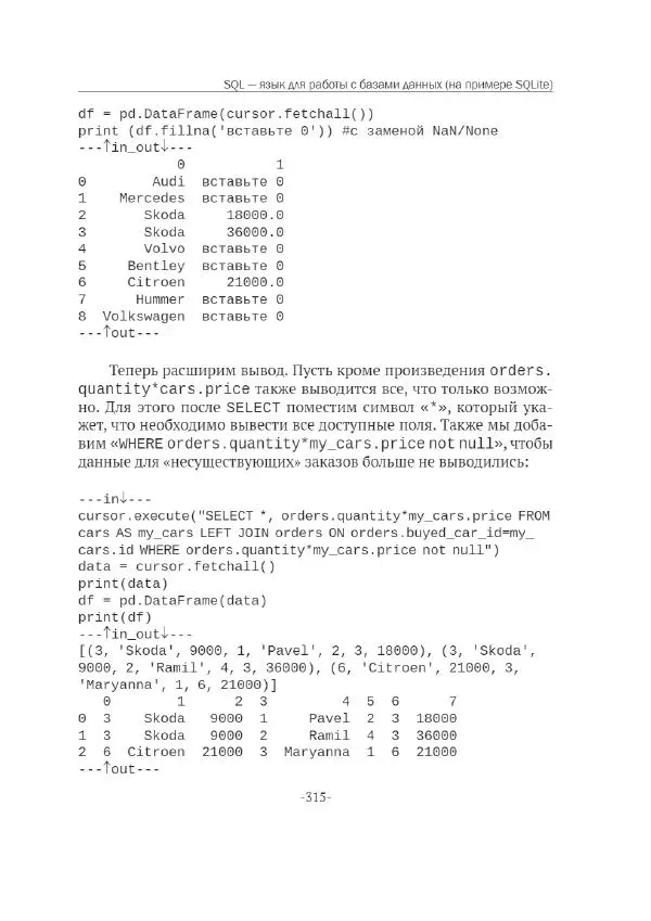 П. Меликов - Изучаем основы Python. Практический курс для дата-аналитиков - Страница № 316
