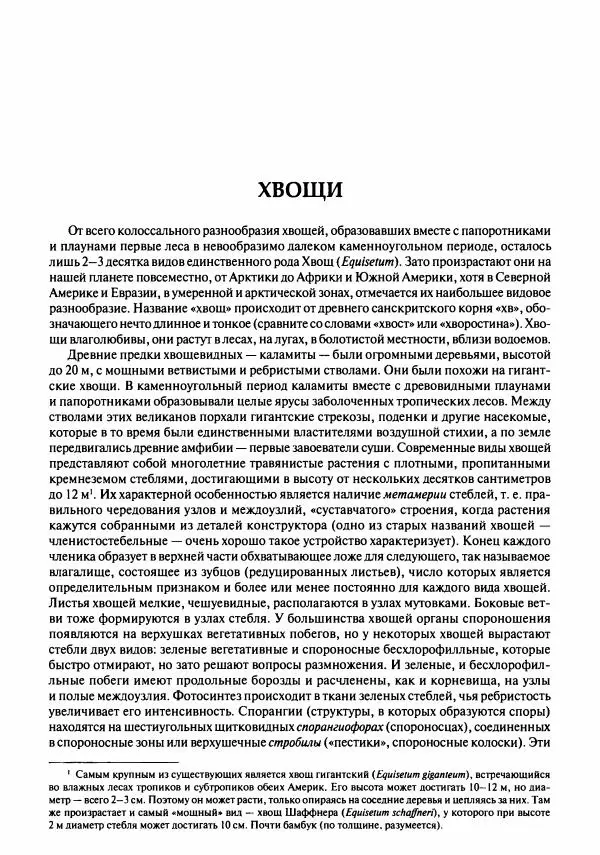 Михаил Вишневский - Готовим из дикоросов. Папоротники, водоросли, лишайники и грибы - Страница № 28