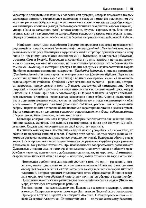 Михаил Вишневский - Готовим из дикоросов. Папоротники, водоросли, лишайники и грибы - Страница № 56