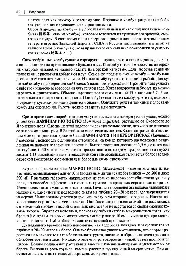Михаил Вишневский - Готовим из дикоросов. Папоротники, водоросли, лишайники и грибы - Страница № 59