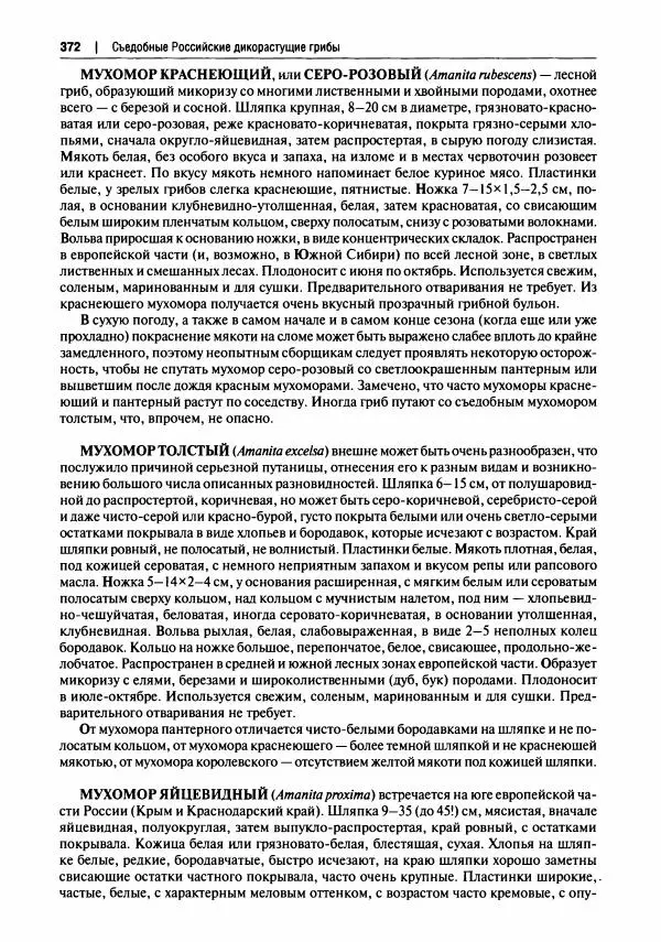 Михаил Вишневский - Готовим из дикоросов. Папоротники, водоросли, лишайники и грибы - Страница № 375