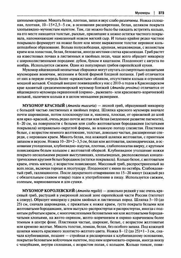 Михаил Вишневский - Готовим из дикоросов. Папоротники, водоросли, лишайники и грибы - Страница № 376