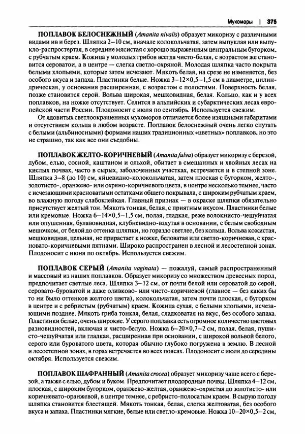 Михаил Вишневский - Готовим из дикоросов. Папоротники, водоросли, лишайники и грибы - Страница № 378