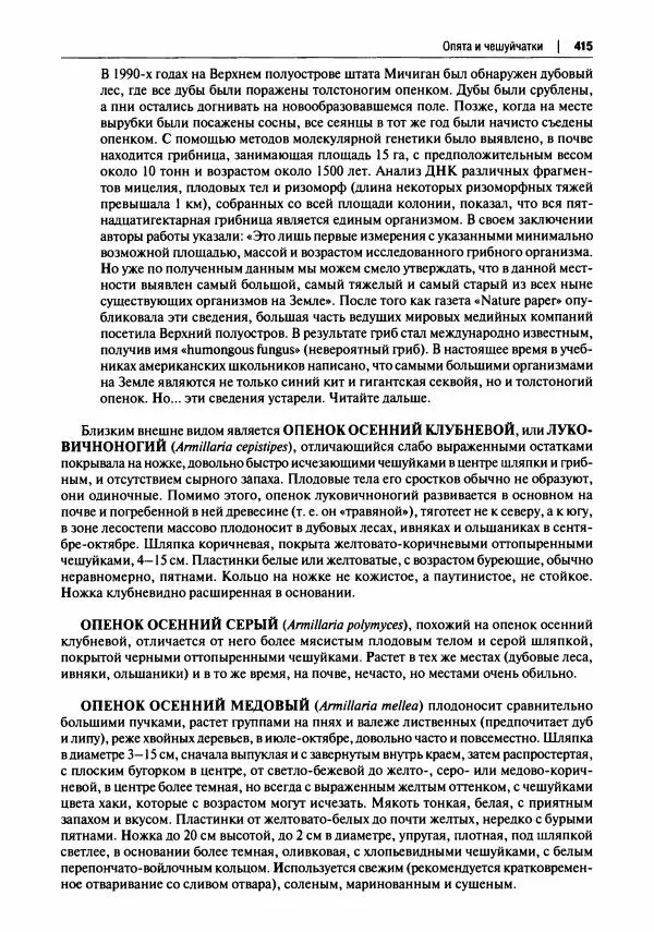 Михаил Вишневский - Готовим из дикоросов. Папоротники, водоросли, лишайники и грибы - Страница № 418