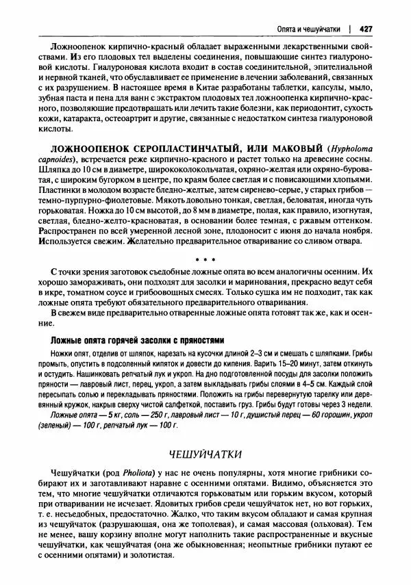 Михаил Вишневский - Готовим из дикоросов. Папоротники, водоросли, лишайники и грибы - Страница № 430